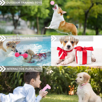 Durable Pet Chew Toy Set, 6 Counts/Set Mixed Style Interactive Tough Chewer Dog Teeth Cleaning Toy, Interactive Dog Teeth Grinding Toy