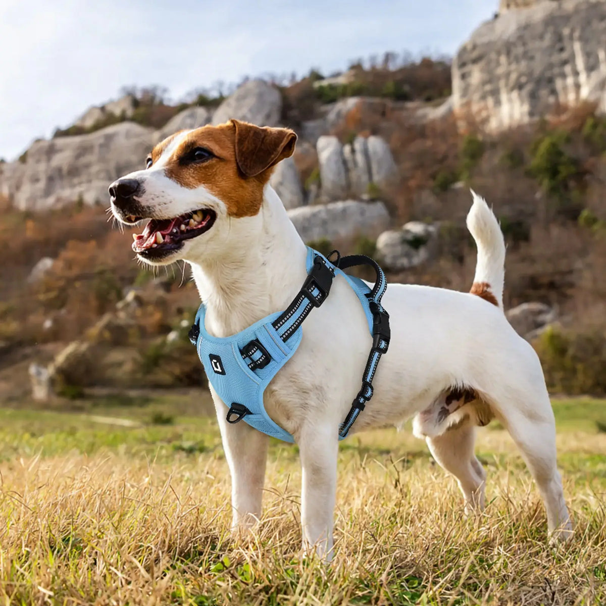 Durable Reflective No-Pull Dog Harness with Adjustable Soft-Padded Vest and Dual Leash Clips, Featuring Easy-Control Handle for Large Dogs