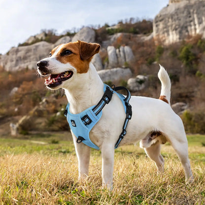 Durable Reflective No-Pull Dog Harness with Adjustable Soft-Padded Vest and Dual Leash Clips, Featuring Easy-Control Handle for Large Dogs
