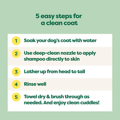 Earth Rated | 3-In-1 Curly & Wavy Coated Dog & Puppy Shampoo, Conditioner & Deodorizer - 16 Oz - Formulated to Tackle Tangles & Restore Curls