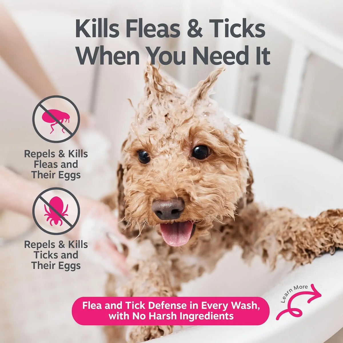 Zesty Paws Natural Flea & Tick Removal Shampoo for Dogs - 16 Fl Oz Soothing Deodorizing Formula with Cedarwood Oil & Peppermint for Enhanced Skin and Coat Care